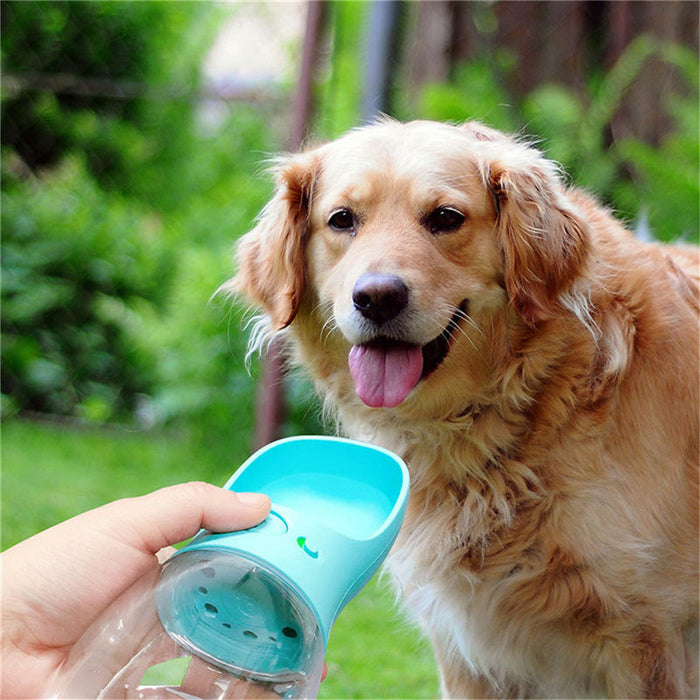 Portable Pet Water Bottle for Outdoor Travel